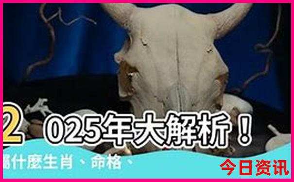 邵阳市旅游十大必去景区