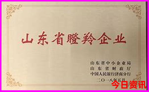 2025官方入口年揭秘新独家资料澳门全网热议-777788888管家婆免费